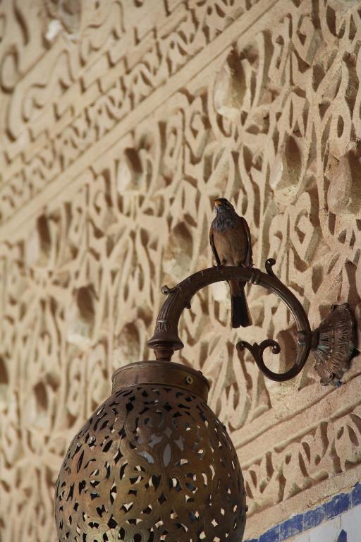 فندق لو بافيليون أوريانتال مراكش المظهر الخارجي الصورة
